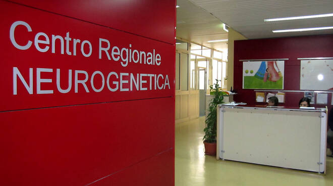 centro neurogenetica