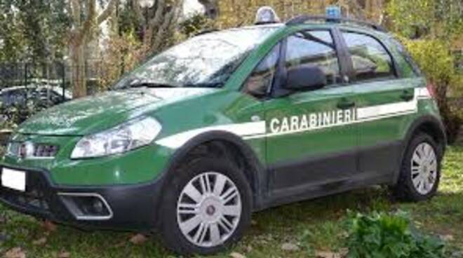 carabinieri,