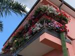 balcone  in fiore lamezia