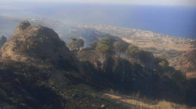 calabria verde 