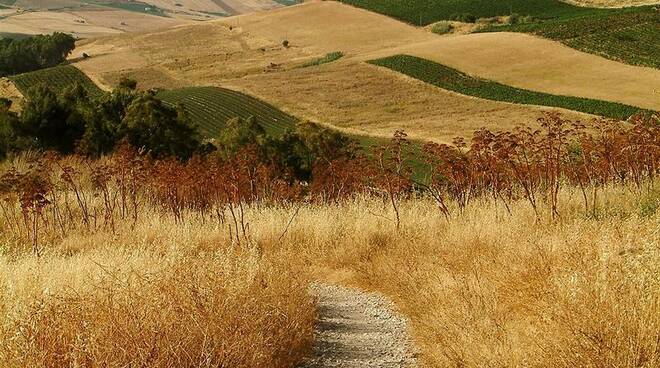 campagna