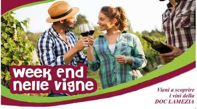 fine settimana vigne statti