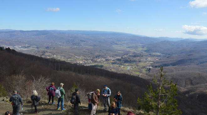 reventino piana