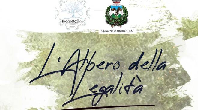 albero legalità