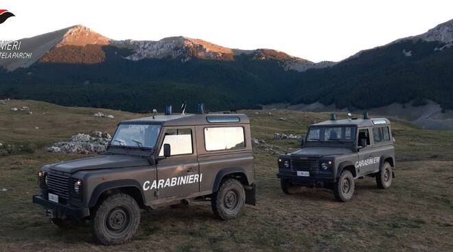 pollino carabinieri