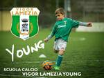 vigor lamezia young