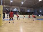 Pallavolo Crotone