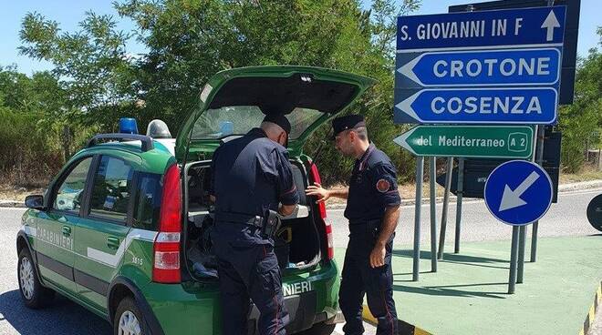 carabinieri forestale