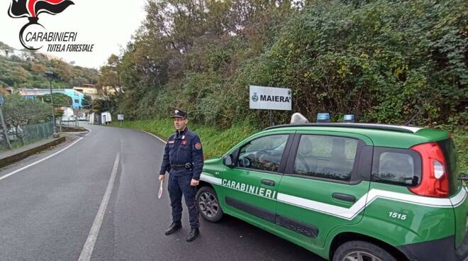 carabinieri