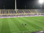 fiorentina crotone