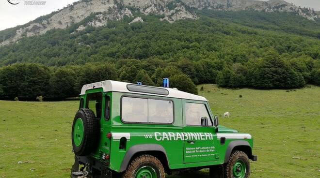 carabinieri