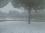 neve