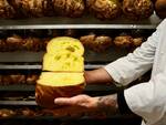 panettone