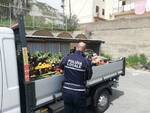 ambulanti crotone