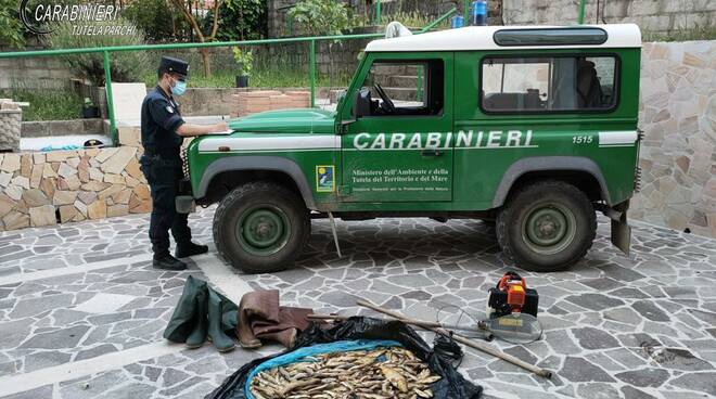 carabinieri