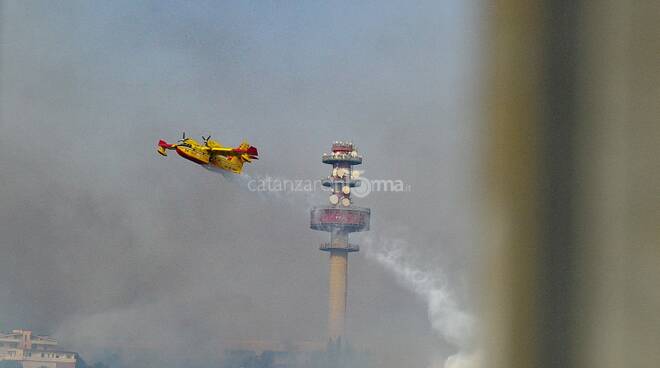 incendio pineta