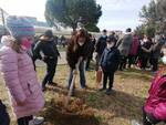 Un albero per il futuro