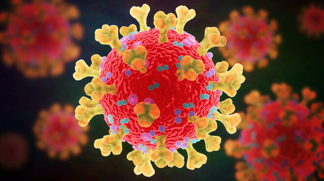 coronavirus