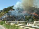 incendio strada provinciale lamezia terme