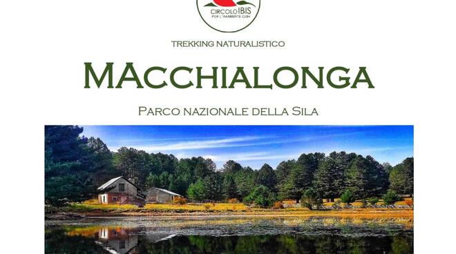 Macchialonga