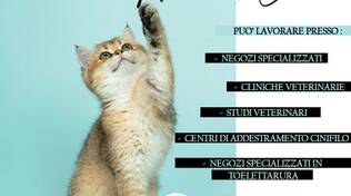 corso operatore animal care k-form academy