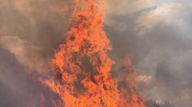 INCENDIO SANTA CATERINA SULLO IONIO