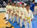 Judo trofeo